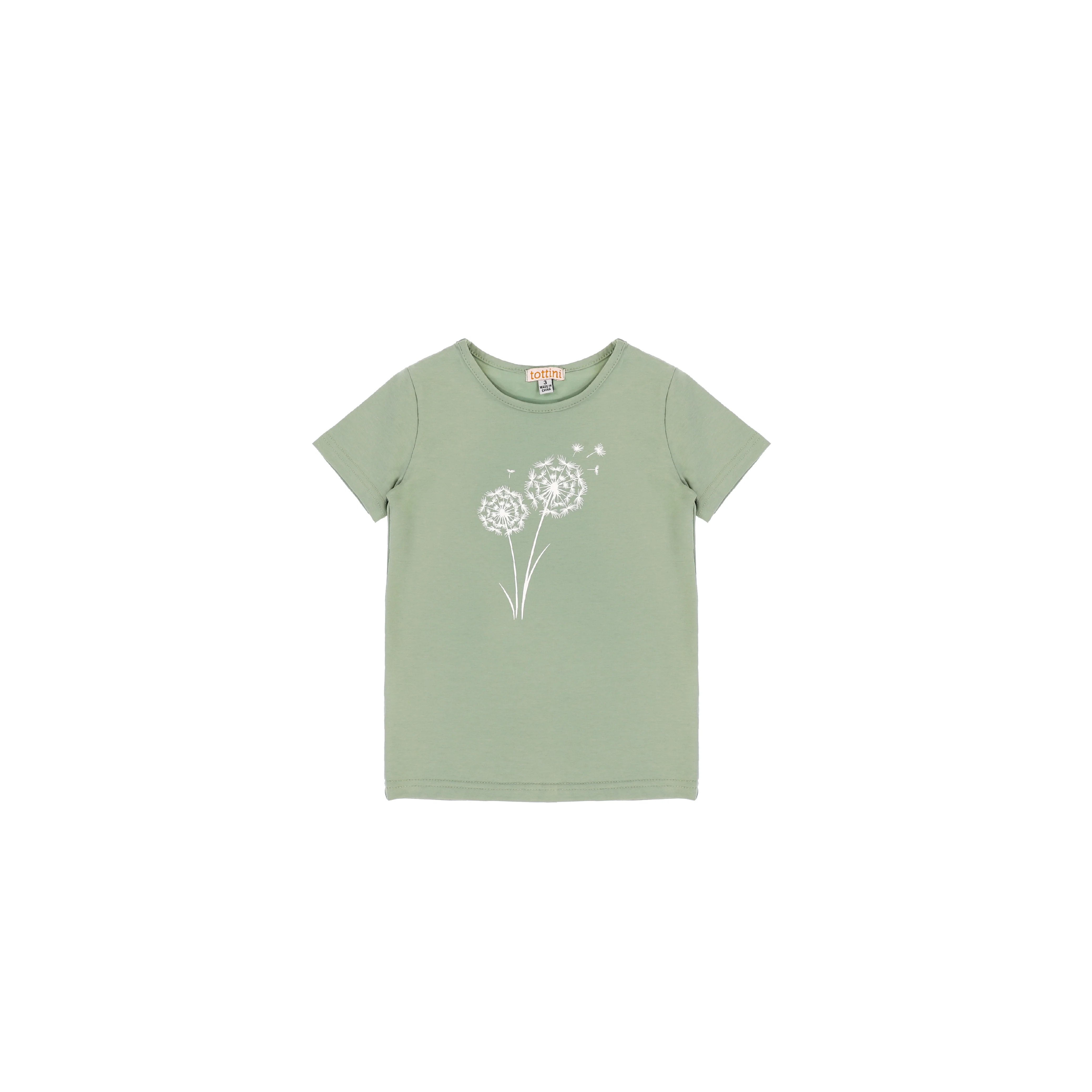 SHORT SLEEVES DANDELION TSHIRT - Image 2