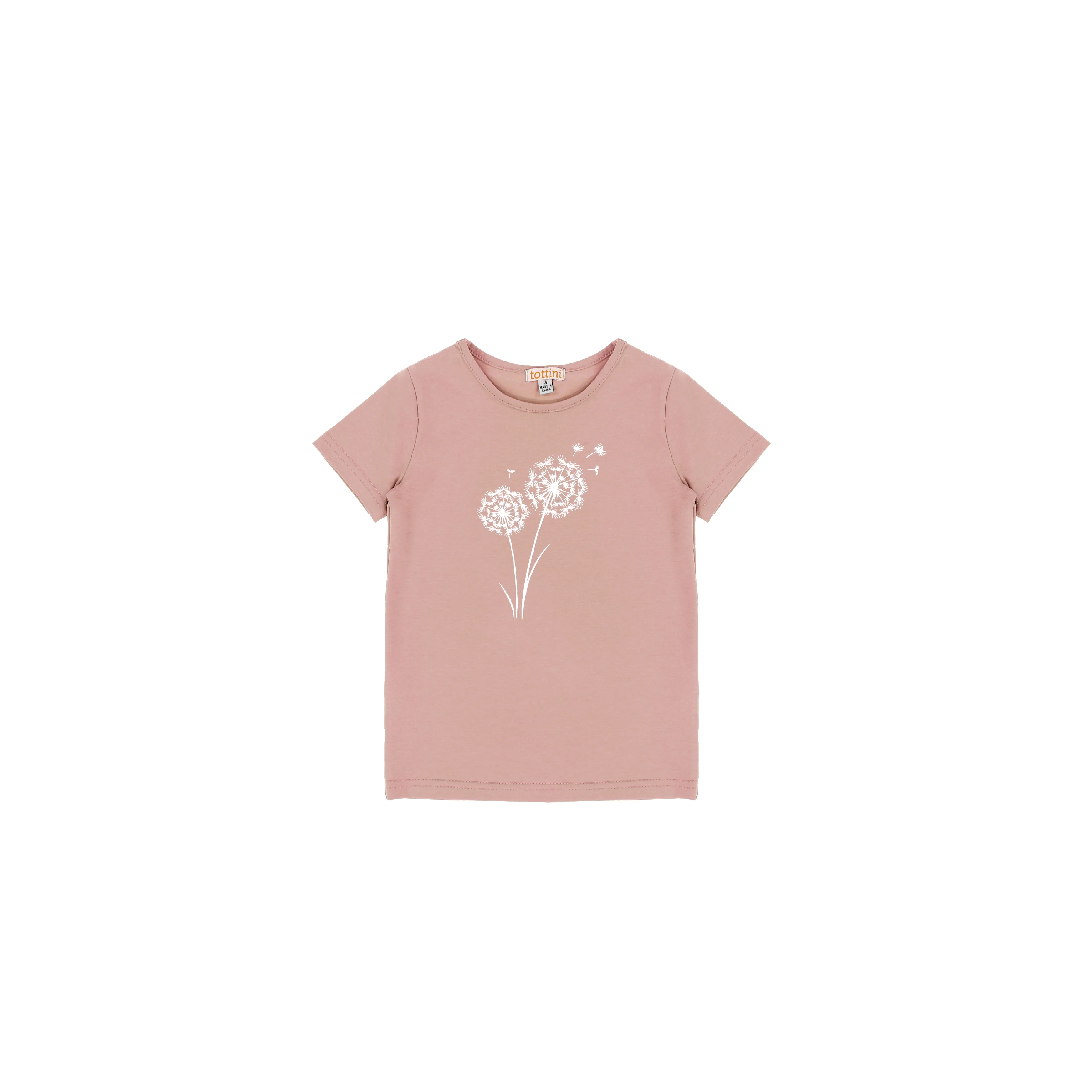 SHORT SLEEVES DANDELION TSHIRT - Image 3