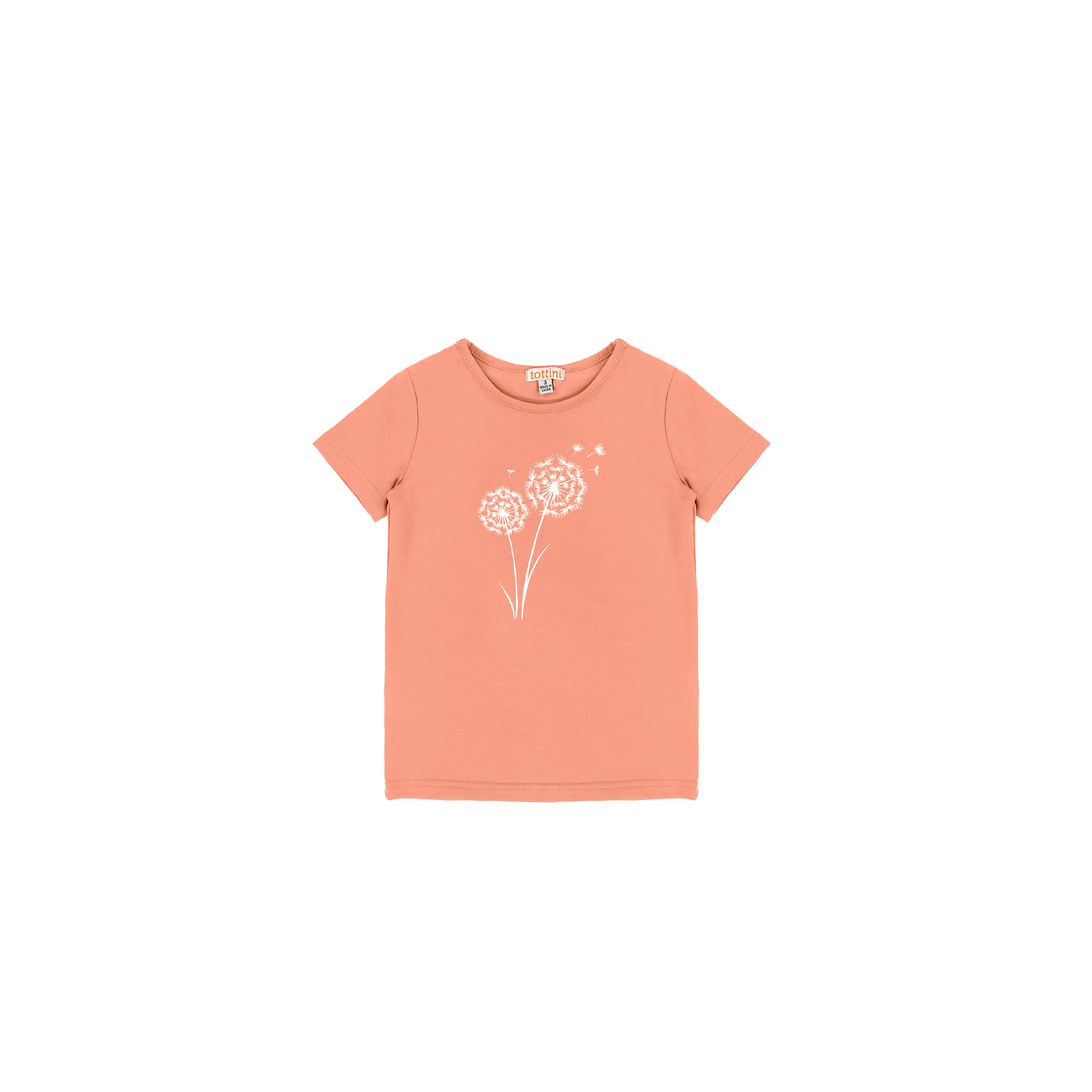 SHORT SLEEVES DANDELION TSHIRT - Image 4