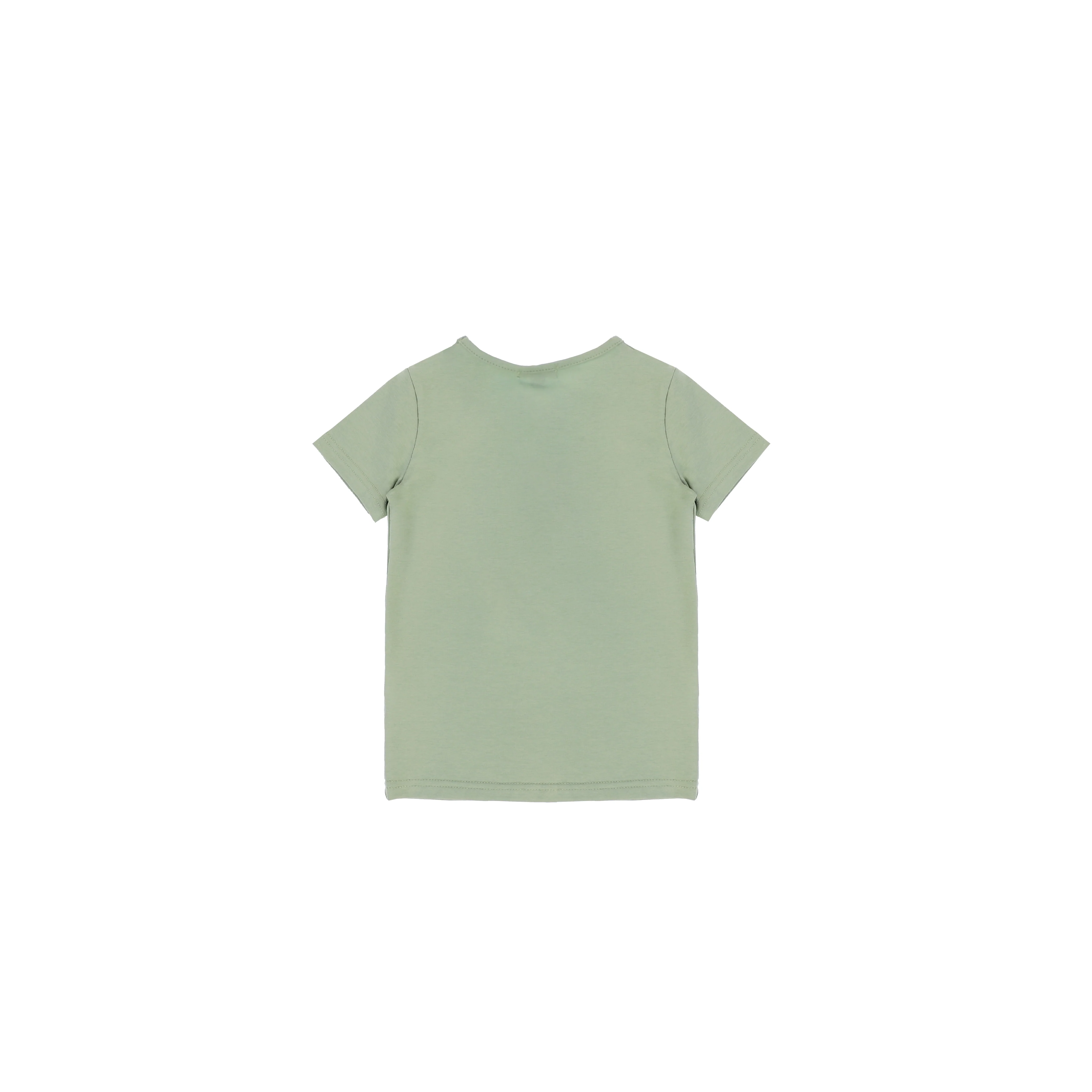 SHORT SLEEVES DANDELION TSHIRT - Image 5