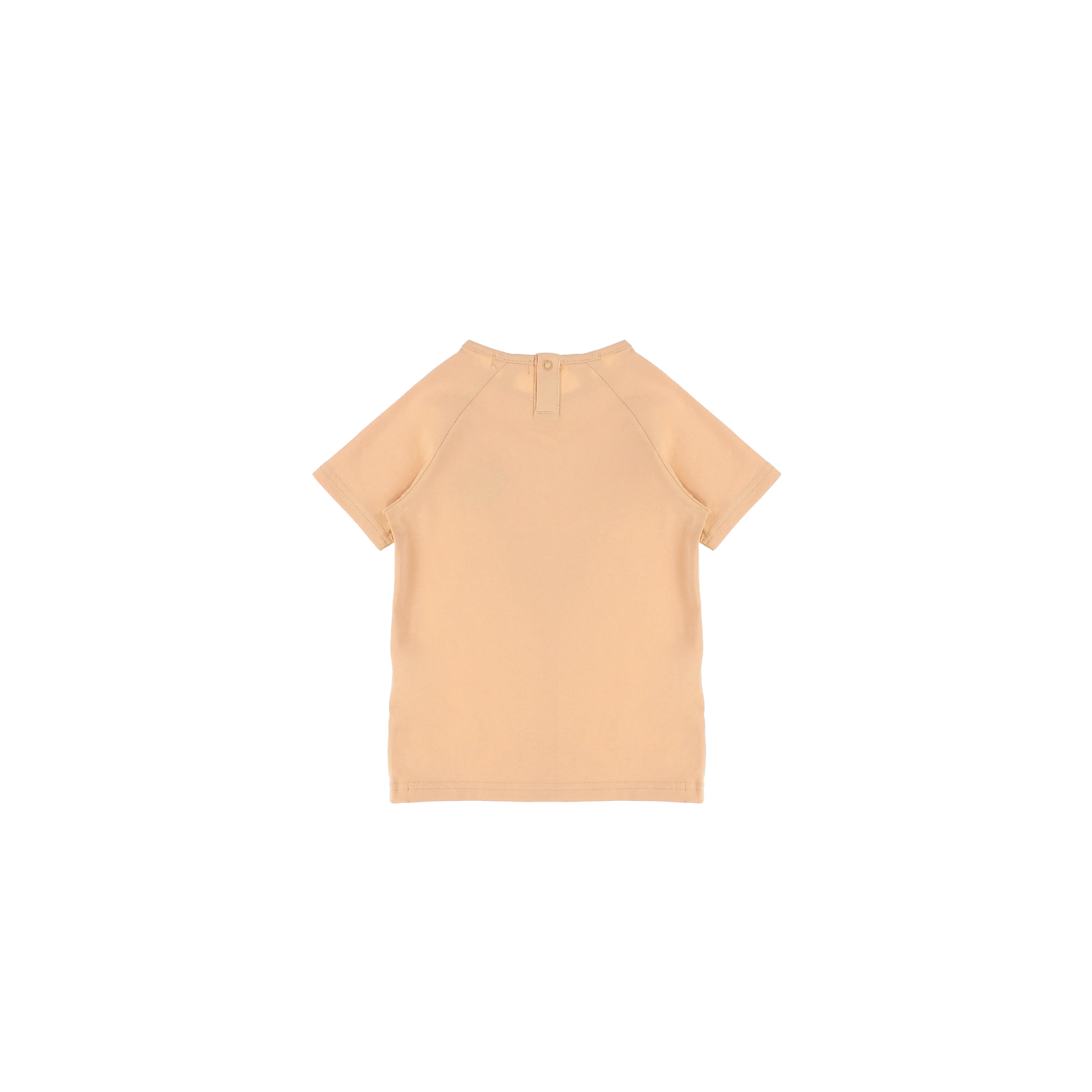 SHORT SLEEVES SEASHELL TSHIRT - Image 5